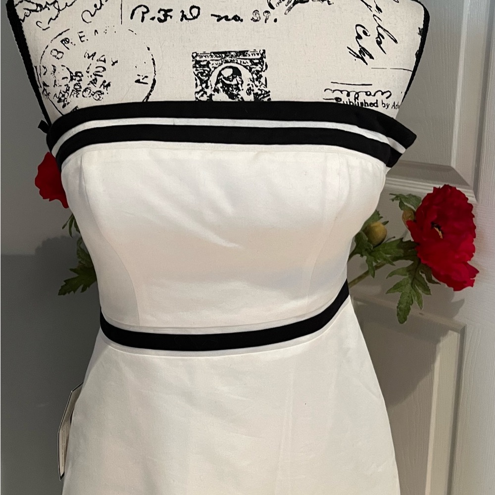New Ann Taylor Strapless Striped Fit Flare Midi Dress Black White Piping 2P NWT - Picture 5 of 15